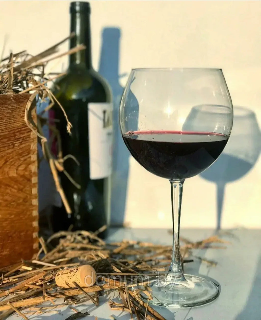 Pasabahce Enoteca Burgundy Red Wine Glass