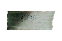 Bonna Gaia Rectangular Sushi Plate