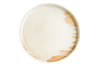 Solis Flat Plate 21 cm